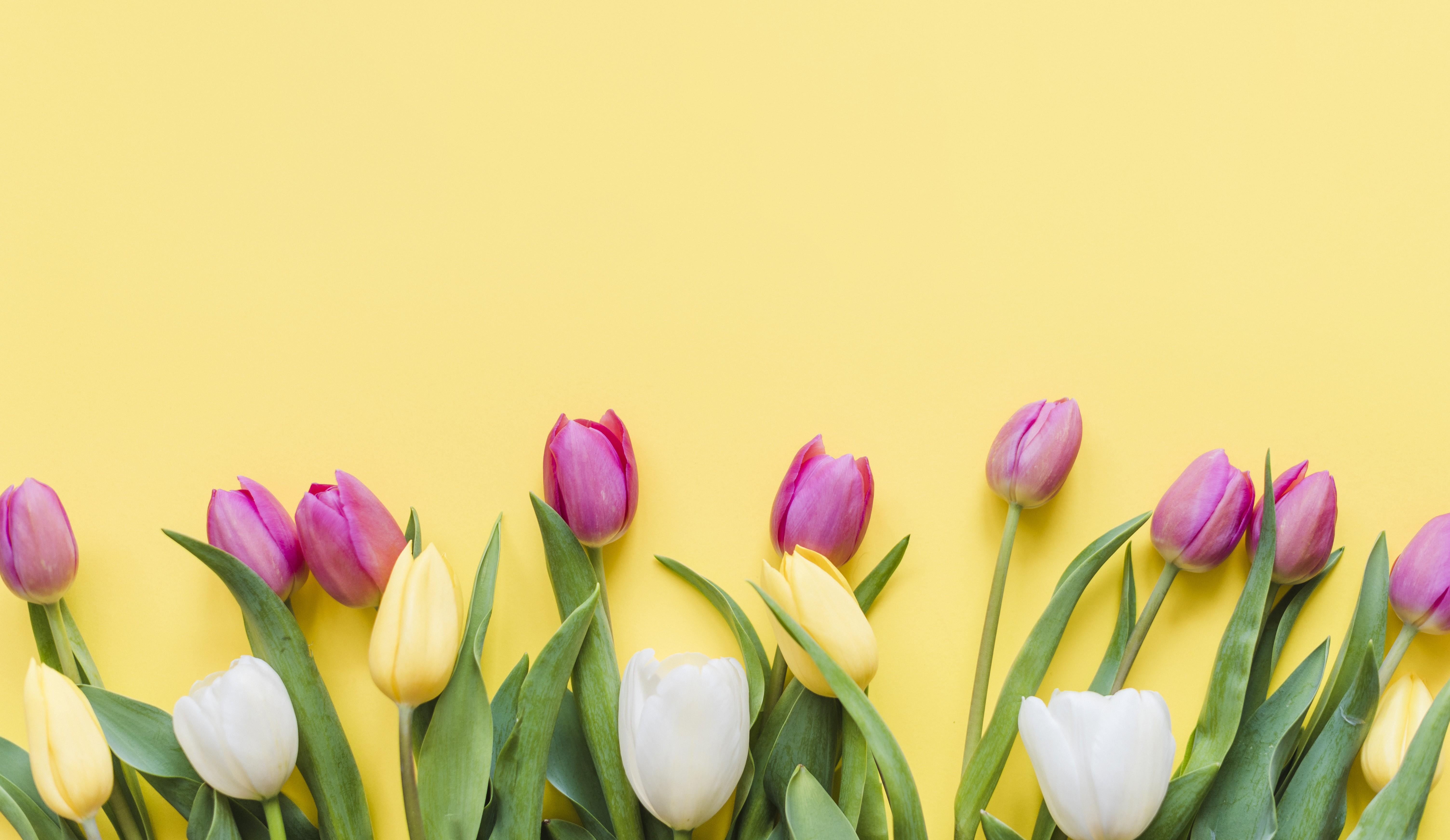Newsletter may 2026